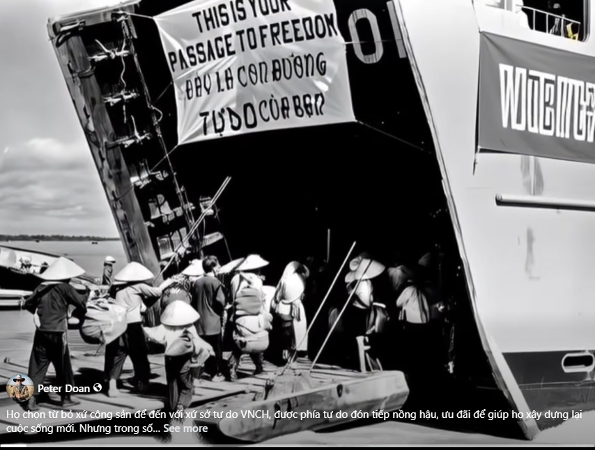 Hành trình đi tìm tự do 1954